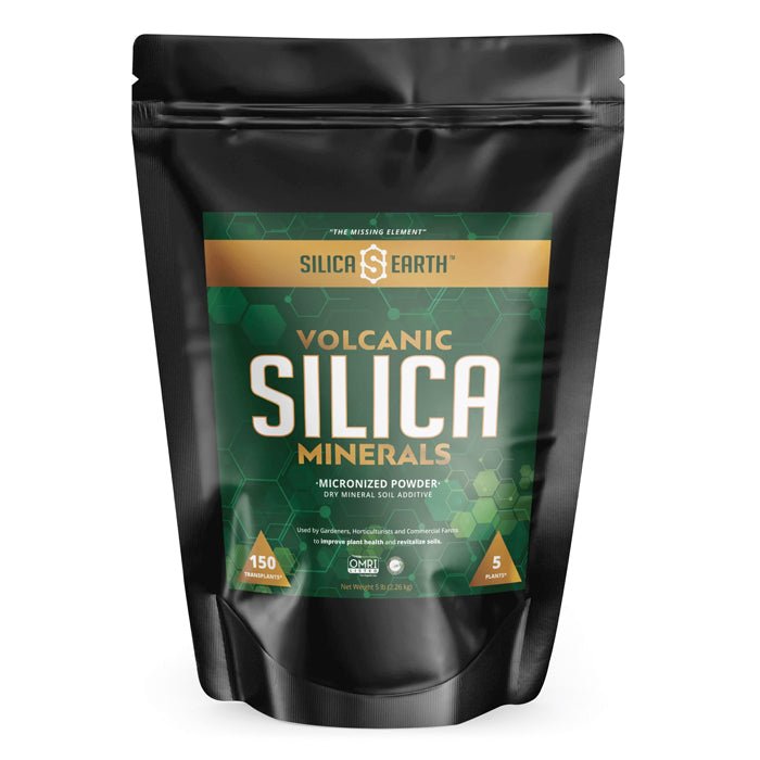 Silica Earth Volcanic Silica Minerals Micronized Powder - BetterGrow Hydro