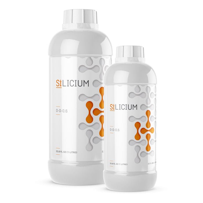 Silicium - BetterGrow Hydro