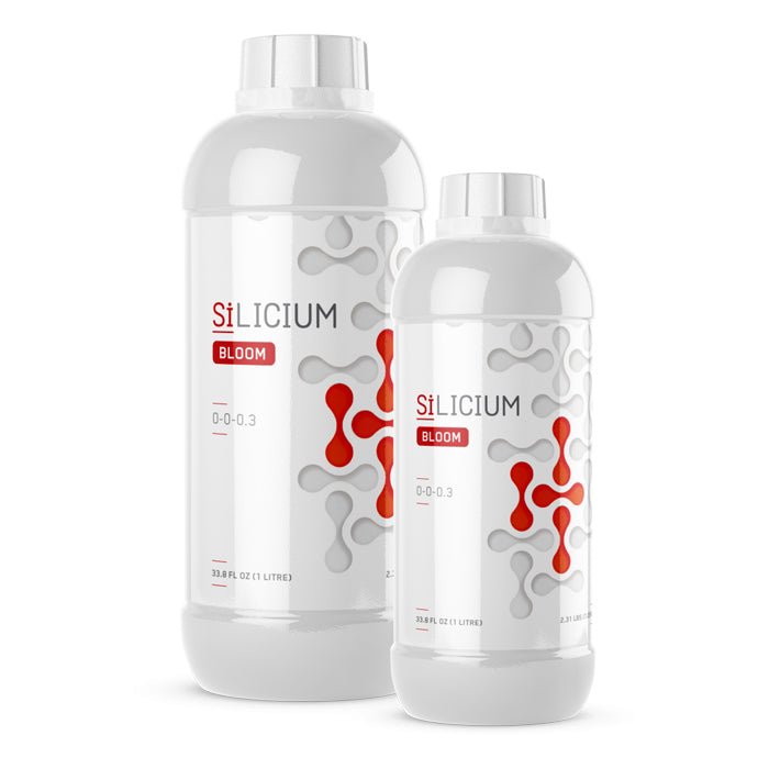 Silicium Bloom - BetterGrow Hydro