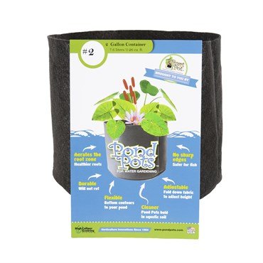 Smart Pot Pond Pot Black - BetterGrow Hydro