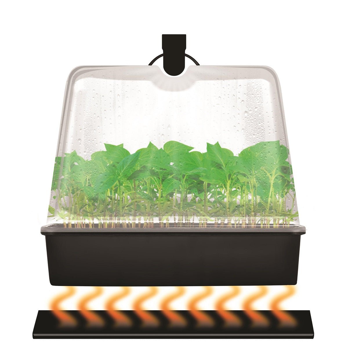 Super Sprouter Premium Heated Propagation Kit with T5 Light - BetterGrow Hydro