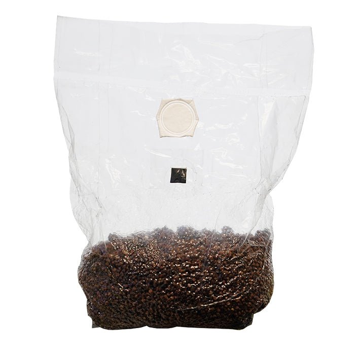 SuperSpore Mushroom Grain Bag 4lbs - BetterGrow Hydro