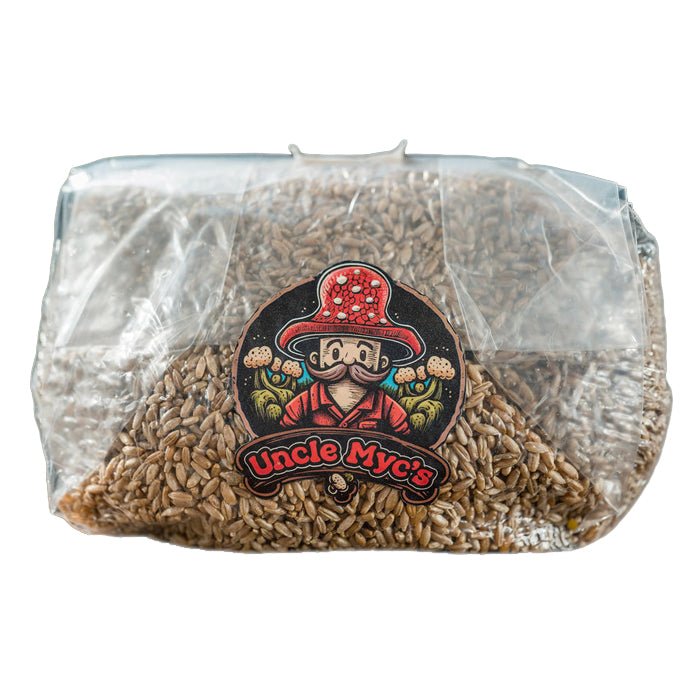 Uncle Myc's Rye Berry Grain 100% Sterilized Mushroom Spawn - BetterGrow Hydro