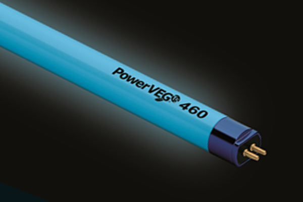 PowerVEG 460