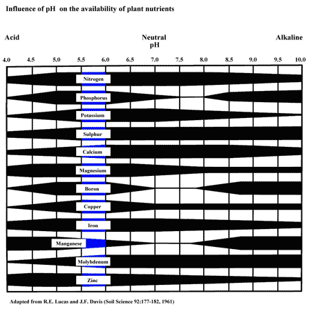 Ph Nutrient Absorption Chart